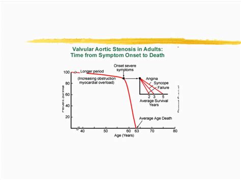 is preserved lv systolic function bad|preserved lv function meaning.